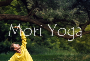 森ヨガでととのう